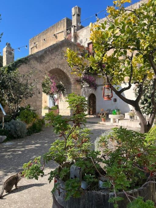 Casa Masseria Dell'800 Gargano. Le Mignole Monte SantʼAngelo Extérieur photo