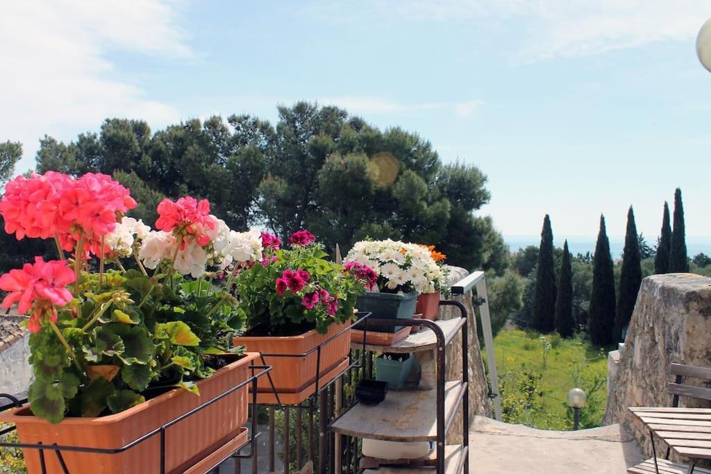 Casa Masseria Dell'800 Gargano. Le Mignole Monte SantʼAngelo Extérieur photo